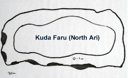 Kuda Faru